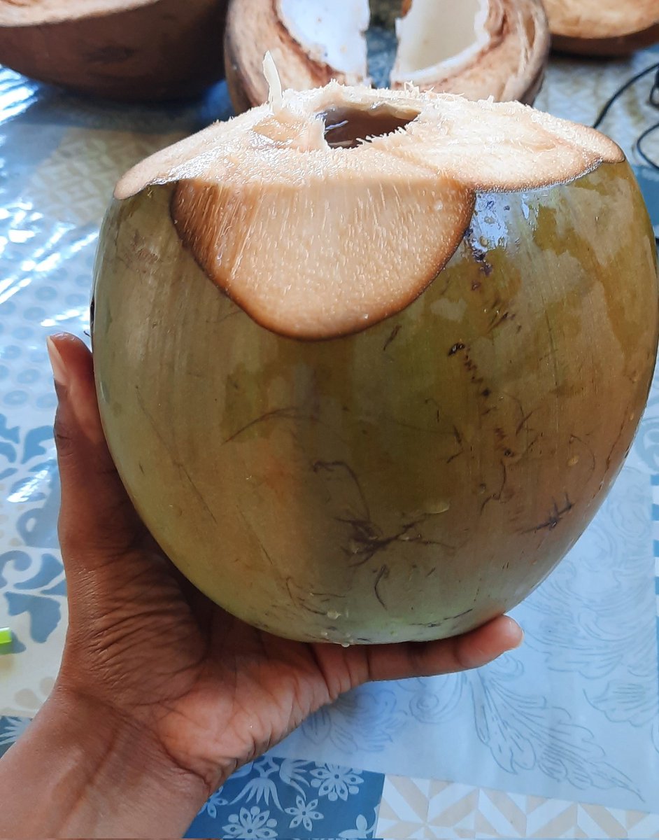 MADININA_GIRL's tweet photo. Le régime alimentaire, il a changéééé. Pfiouuuu, ça faisait tellement longtemps 🤤

#StJo 🫶🏽 https://t.co/fRfjrf2P2R