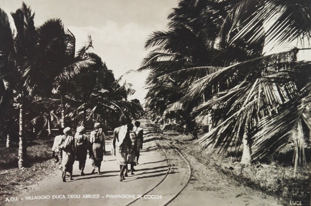 Open Call: Ecologies, Collections, and Contested Heritage: (Un-)Natural History and Italian Colonial Ambitions in Africa

Send us your paper proposals by July 15!

#Italiancolonialism #ecologies #collecting #contestedheritage #naturalhistory #unnaturalhistory #museums #Africa