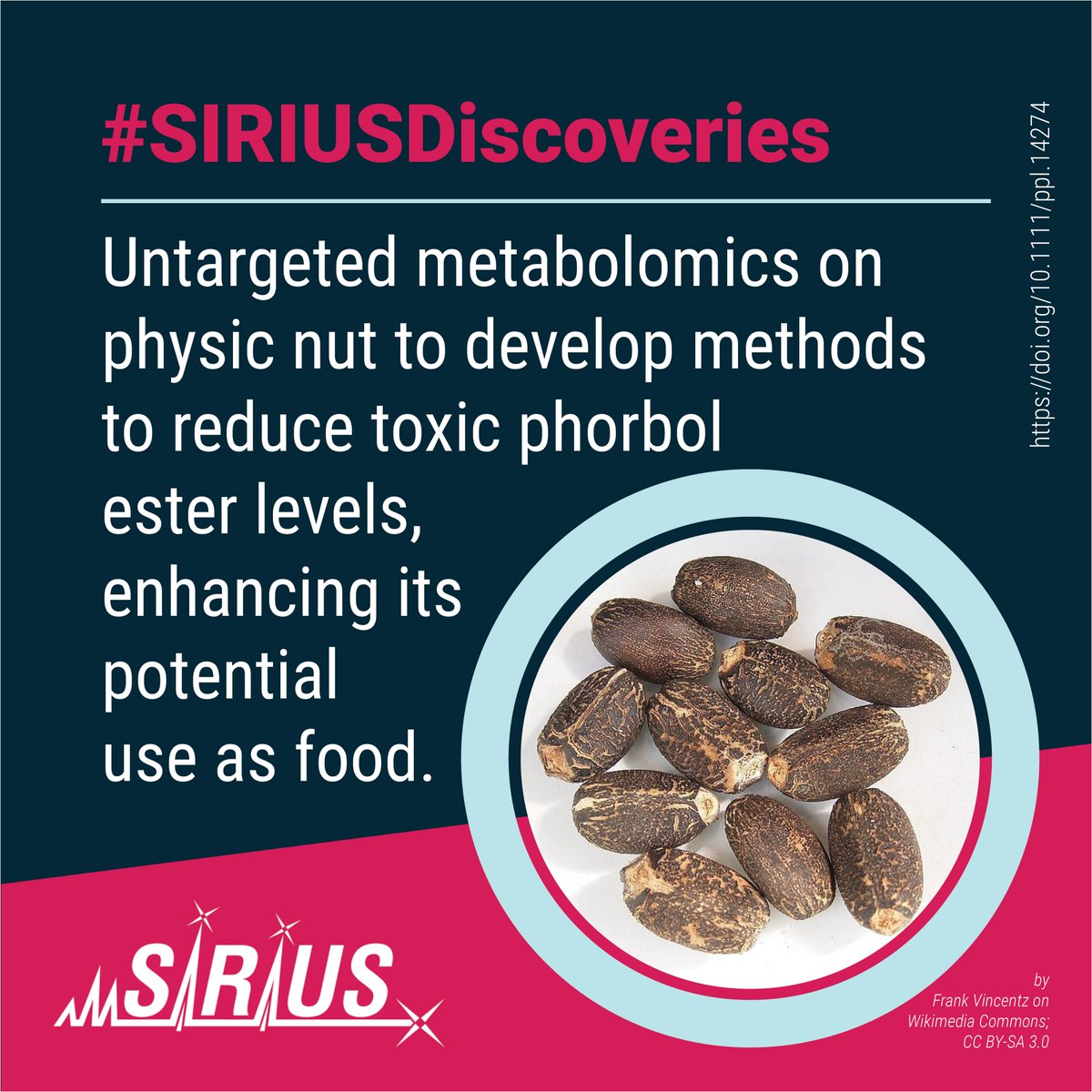 Bright Giant (@bright_giant) on Twitter photo #UntargetedMetabolomics on physic nut to develop methods to reduce toxic phorbol ester levels, enhancing its potential use as food.
📄 doi.org/10.1111/ppl.14…
💡 More #SIRIUSDiscoveries: bright-giant.com/discoveries/
#Toxicology #FoodSafety #SmallMoleculeAnnotation #SIRIUS_MS #UntargetedMetabolomics on physic nut to develop methods to reduce toxic phorbol ester levels, enhancing its potential use as food.
📄 doi.org/10.1111/ppl.14…
💡 More #SIRIUSDiscoveries: bright-giant.com/discoveries/
#Toxicology #FoodSafety #SmallMoleculeAnnotation #SIRIUS_MS