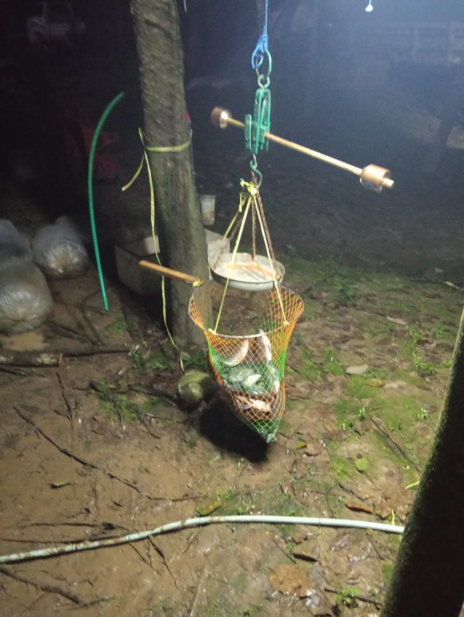 Ismail ogie tweet media