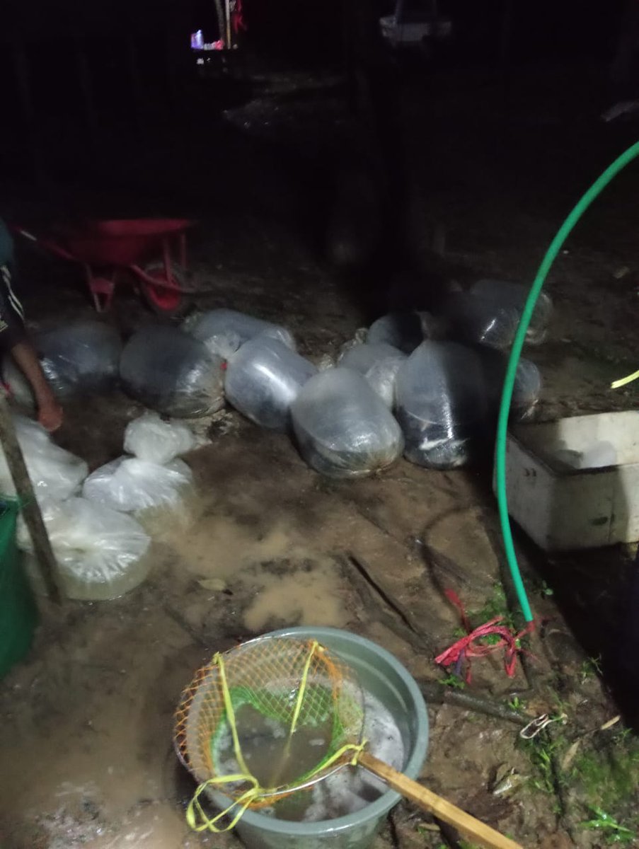 Ismail ogie tweet media