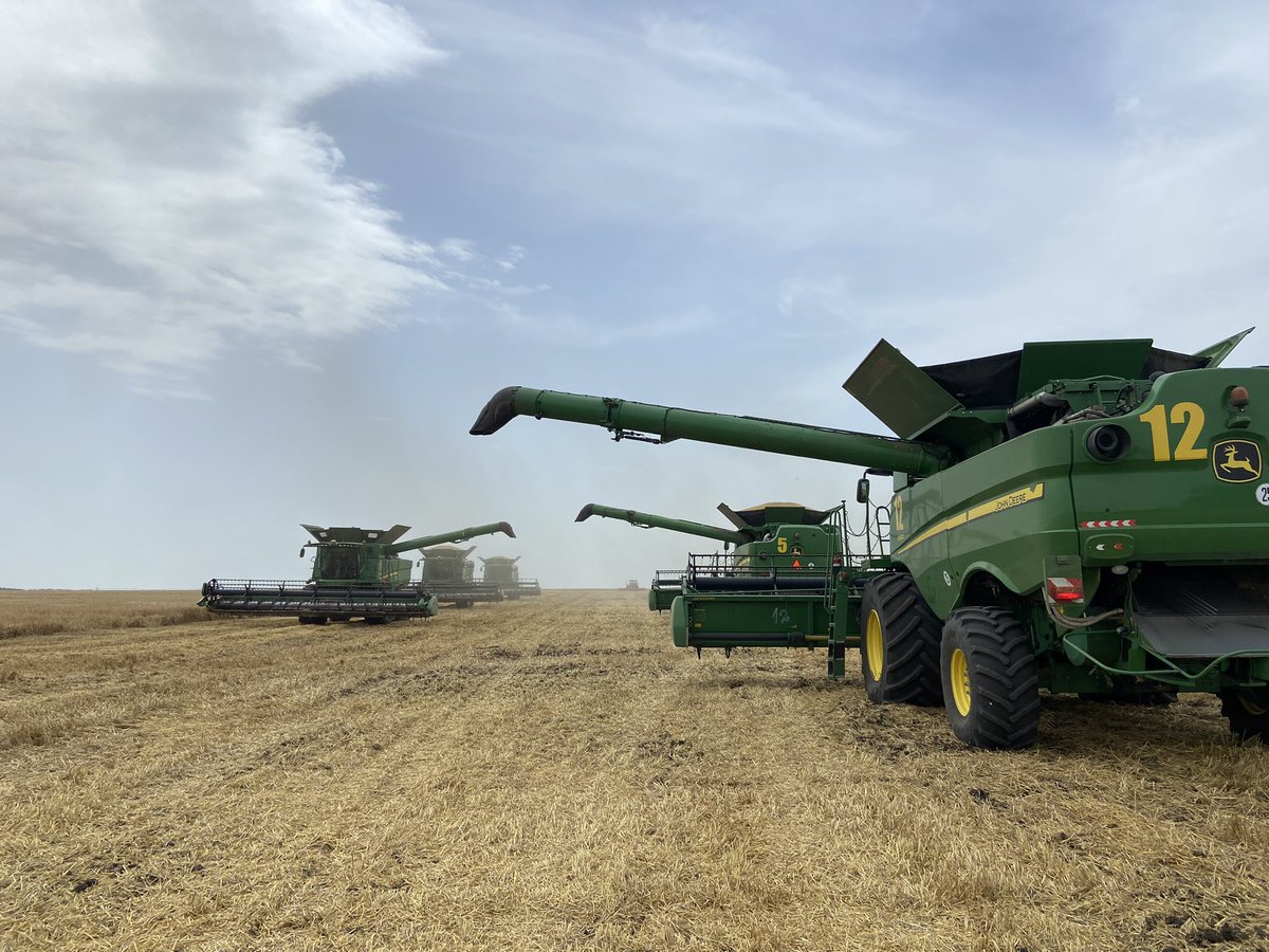 Esta complicado abastecer de camiones a las 21 cosechadoras en una cebada de 7,5tn/ha.

Comenzó la cosecha de cebada, en 3 días vamos a hacer 1,500ha 🇷🇴