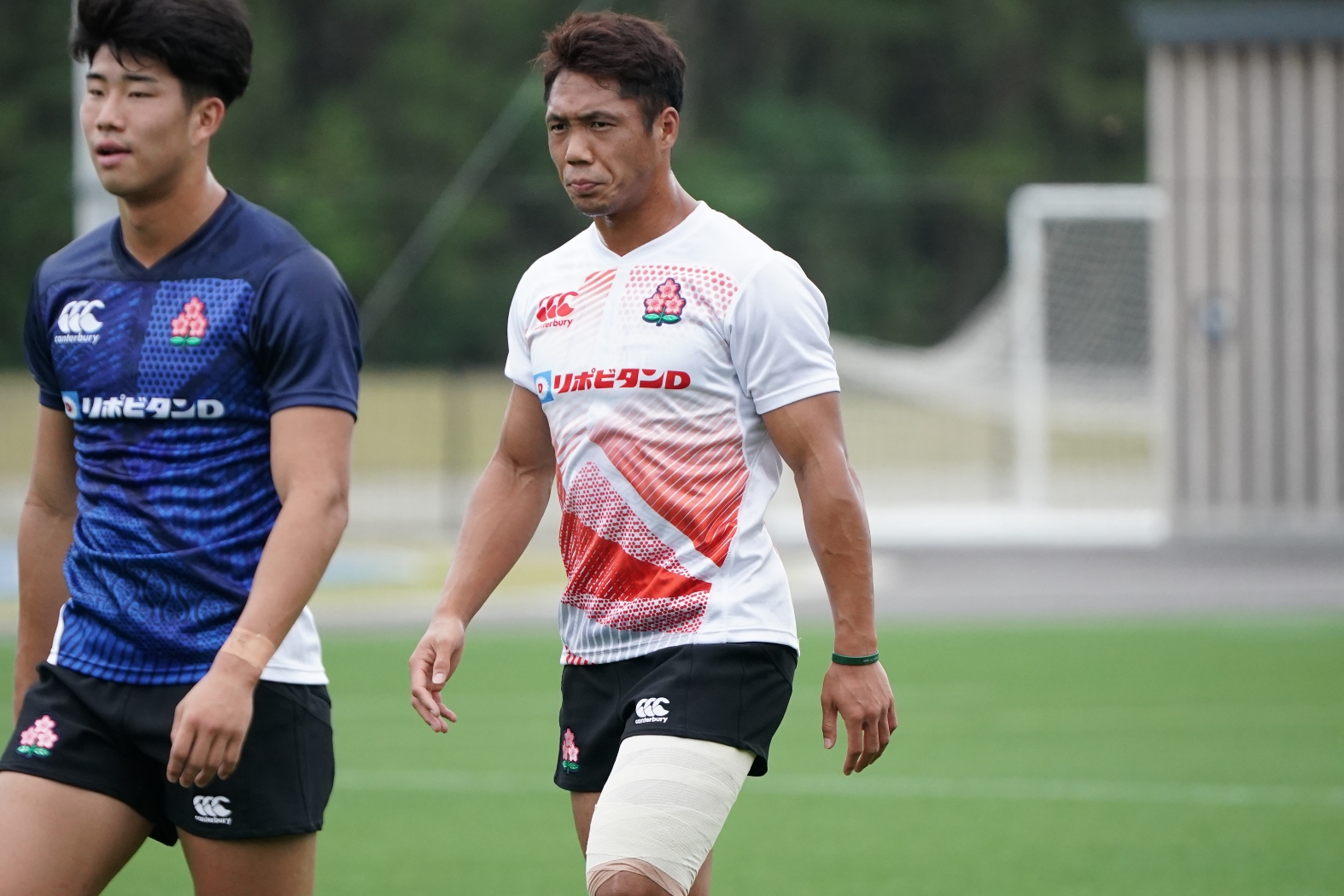 慶應義塾大学ラグビー部 Tシャツ プラクティスシャツ