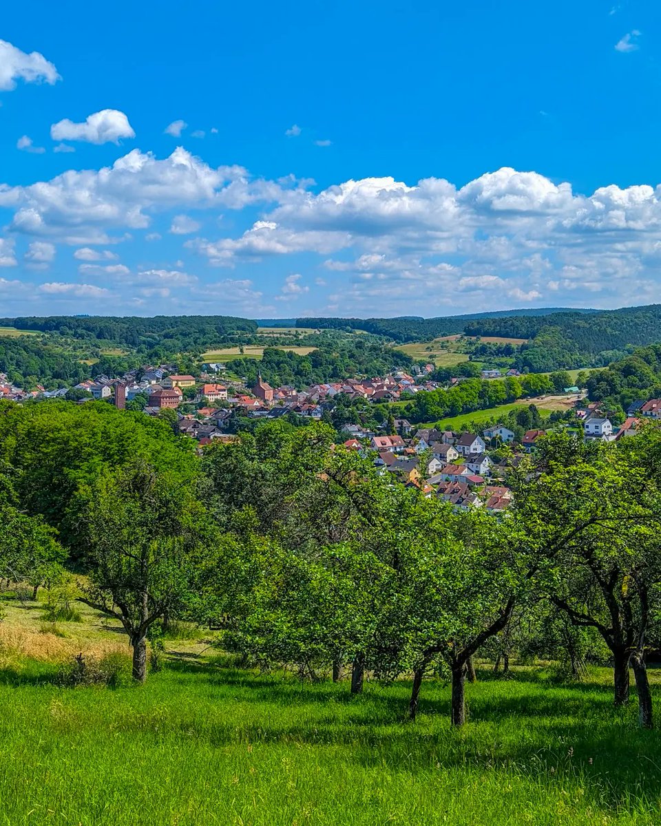 spessartbu's tweet photo. Meine gestrige Wandertour führte mich in den Kleinwallstadter Wald.
Es gab natürlich auch Schönes zu sehen, nicht nur, wie im vorherigen Beitrag, die Schäden der Forstwirtschaft.
#wanderfulspessart https://t.co/shKiIEhqib