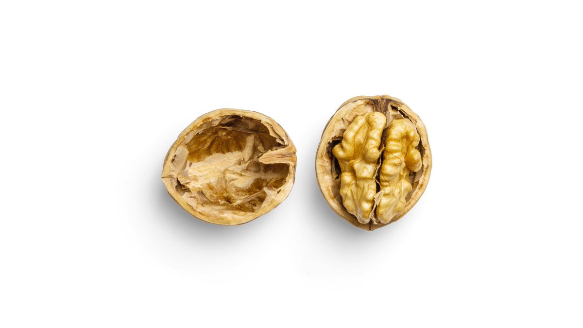 Lifeways Group (@lifewaysgroup) on Twitter photo It’s Men’s Health Week 2024! (June 10-16). So this week at Lifeways, we’re focusing on prostate health.
To find out why the picture of a walnut is relevant, please watch this helpful 2-minute video from the <a href="/MensHealthForum/">Men's Health Forum</a>: youtube.com/watch?v=krBQVr…
#MensHealthWeek It’s Men’s Health Week 2024! (June 10-16). So this week at Lifeways, we’re focusing on prostate health.
To find out why the picture of a walnut is relevant, please watch this helpful 2-minute video from the <a href="/MensHealthForum/">Men's Health Forum</a>: youtube.com/watch?v=krBQVr…
#MensHealthWeek