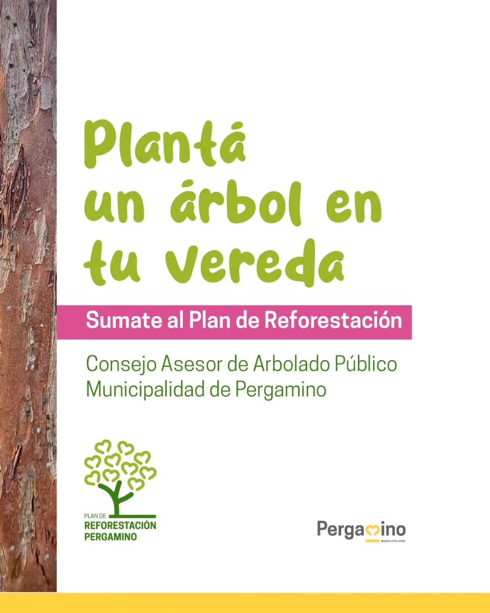 Llegan los mejores meses para plantar árboles🌳
Plantar un árbol es una de las acciones más importantes que podemos llevar a cabo por el medioambiente, ya que producen oxígeno y purifican el aire.
🫶 Sumate a la reforestación, protegé el medioambiente y embellecé tu barrio!🏡