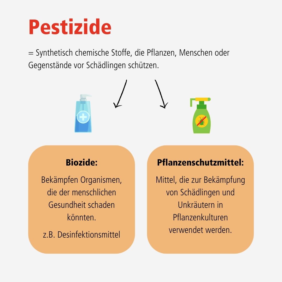 Die #Ziele für den #Pestizideinsatz sind vielseitig. In unserer #Produktion erfahrt ihr mehr über die #Wirkmechanismen und #Auswirkungen von #Pestiziden. 

Mehr unter: fwu-mediathek.de/?record=xfwu-5…