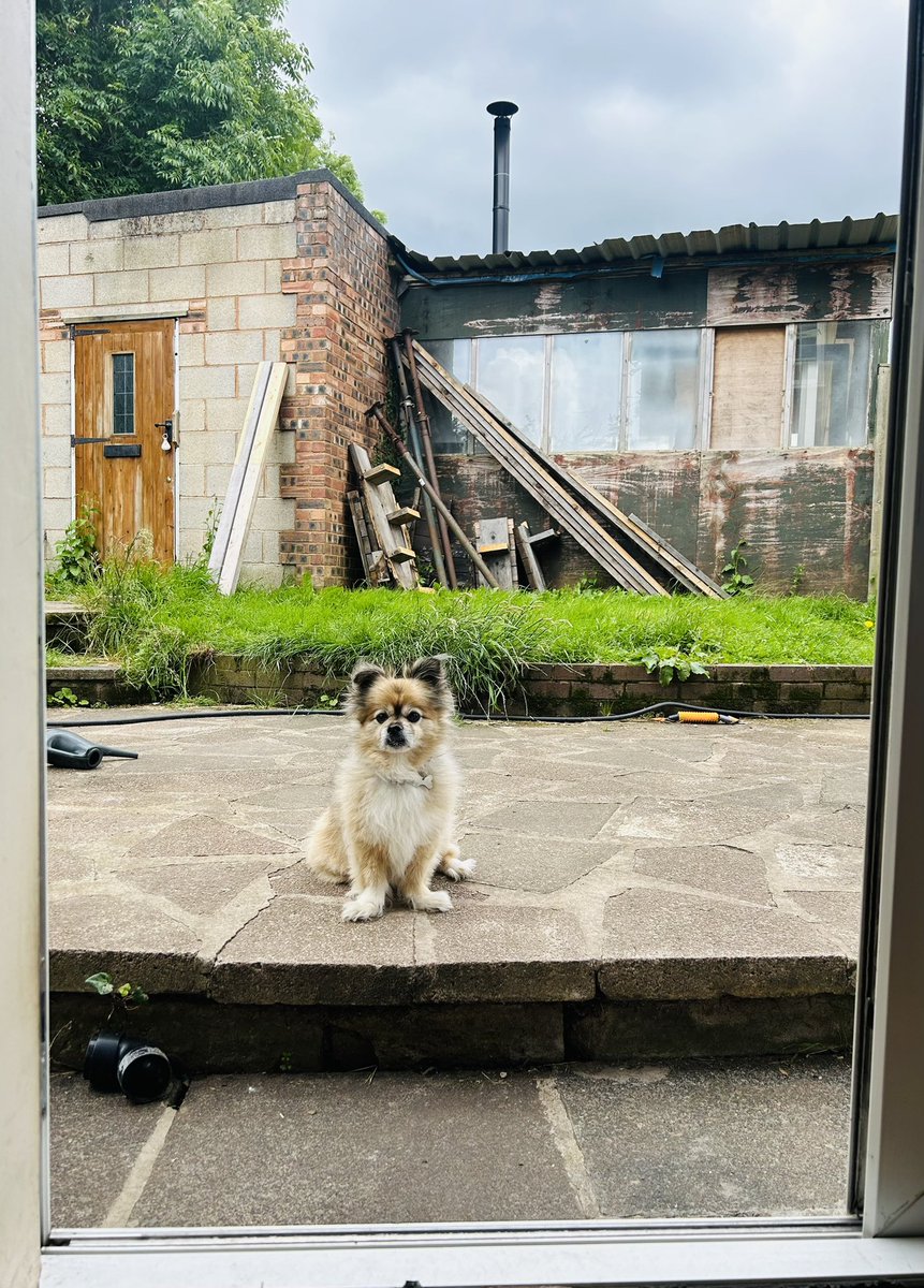 Taking a little break from the laptop screen to hang out with Alan and get some fresh air. Its been pretty none stop shooting and editing recently… good job I love what I do but my eyes can only take so much 😆 what’s everyone up to today?