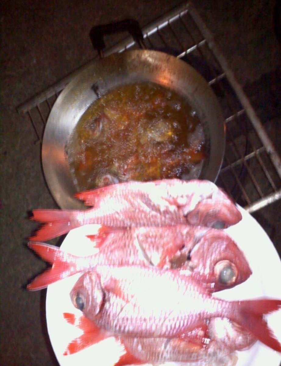 808cryptobeast's tweet photo. Yesterday’s session at the beach to dinner 🤤🤤Fried ‘Ū’ū and stuffed Uhū🤤🤤🤤. Surf, Dive , Fish. Spending time with the Ohana❤️🔥❤️🔥❤️🔥
#Kanakamaoli #NativeIntelligence #IslandLife #HIStyle https://t.co/oSKAq587iE