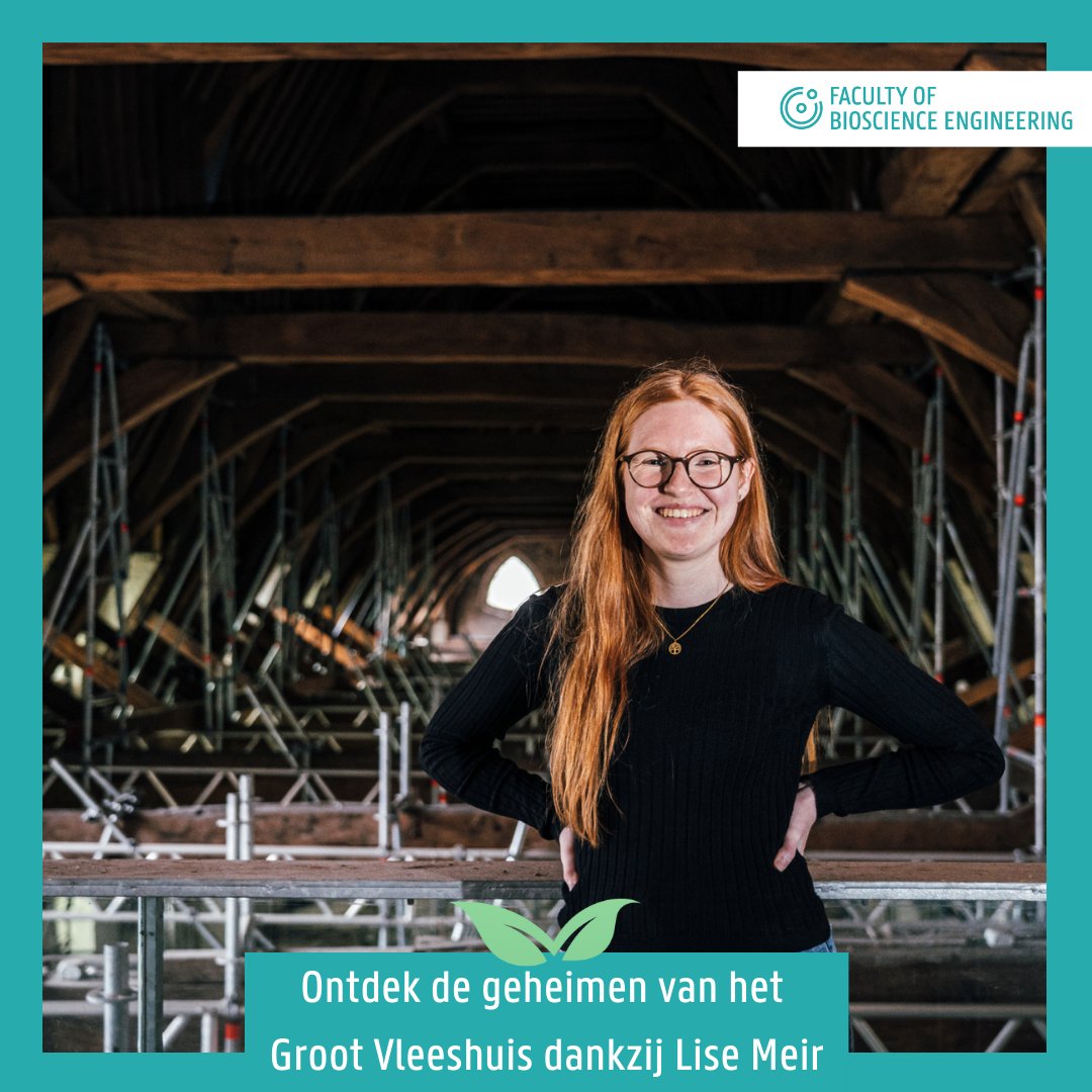 FbwUGent's tweet photo. Lise Meir, studente aan onze faculteit, onderzocht de eeuwenoude balken van het Groot Vleeshuis en onthulde dat deze begin 15de eeuw gekapt zijn. Haar onderzoek naar de chemische verhouding van zuurstofisotopen in de jaarringen is een primeur voor België! 
https://t.co/Lf7CRj8ZBd https://t.co/m1D2eCAWSA