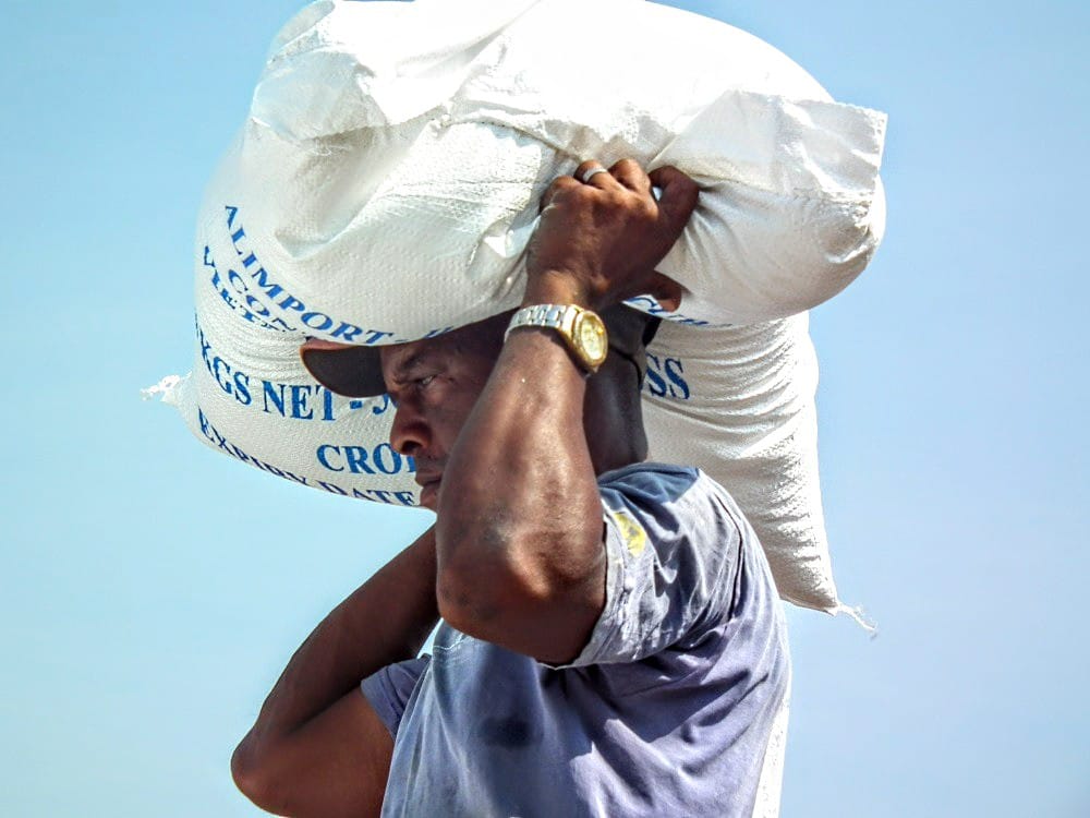 #HazañaDeEstibadores #EmpaMatanzas 
Algunos afirman que con los años el esfuerzo debilita al organismo y los huesos se resienten, mas, por lo pronto, realizan la faena con movimientos ágiles y ligeros, como si dominaran de memoria cómo sostener el saco para que pese menos .