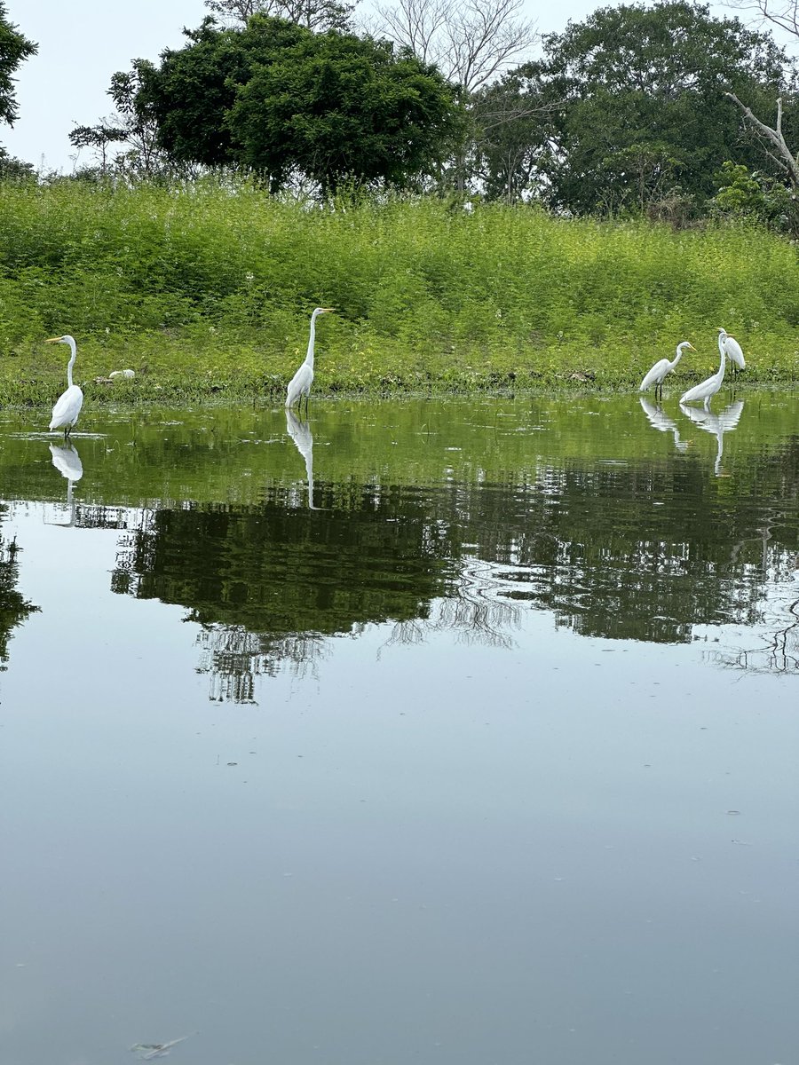 Importante ver hoy por <a href="/CanalTelecaribe/">Canal Telecaribe</a> la serie documental Diarios del Agua. El primer capítulo lo han denominado La Mojana: canción del agua. La cita es hoy lunes festivo a las 6 pm. No se la pierdan!!