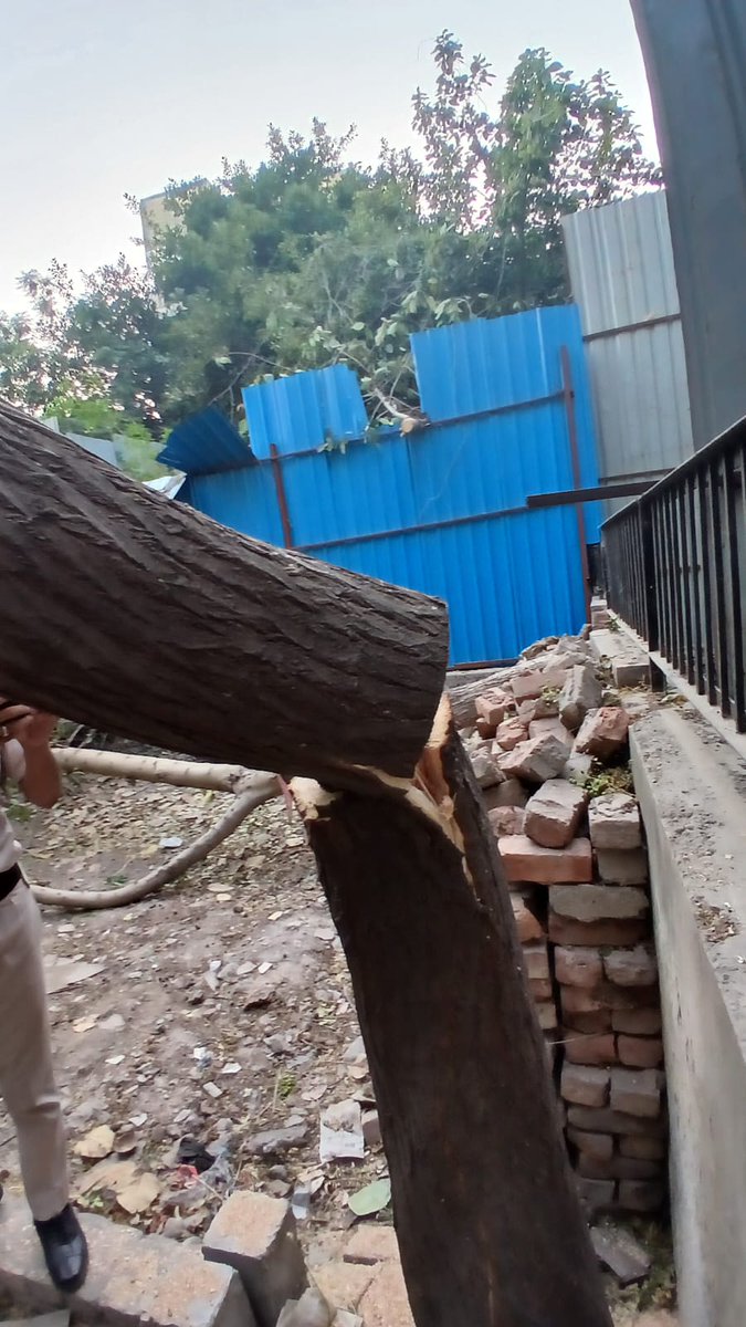 SaveRohini's tweet photo. Plot no. 97 pocket E 4 sector 07 rohini यहां पर पेट काट दिए गए हैं  एनजीटी ने यहां पर बैन लगाया हुआ क्या होगा दिल्ली का कैसे बचा पाएंगे पर्यावरण को @palkisu @LtGovDelhi @indSupremeCourt @official_dda @NEERAJ_RTI @CPCB_OFFICIAL https://t.co/2wJLMRnEpq