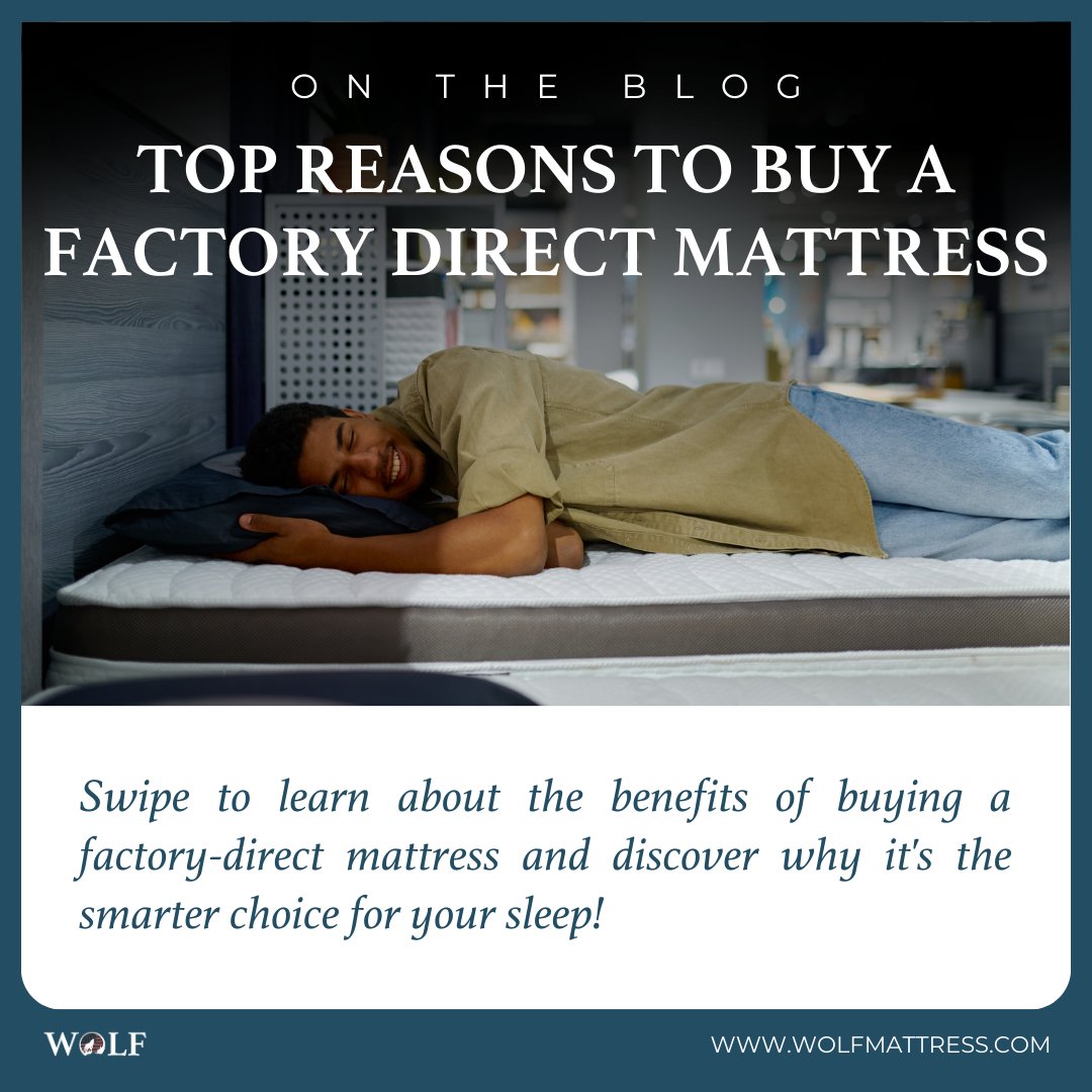 wolfmattress's tweet photo. Thinking of buying a new mattress? 🤔 There's a lot to consider... But have you thought about factory direct vs shipped mattresses? 🚚 Explore why choosing a factory-direct mattress could be a game-changer for your sleep - https://t.co/CADtLyy4EW #WolfMattress #Mattress https://t.co/Y90AaeUEeL
