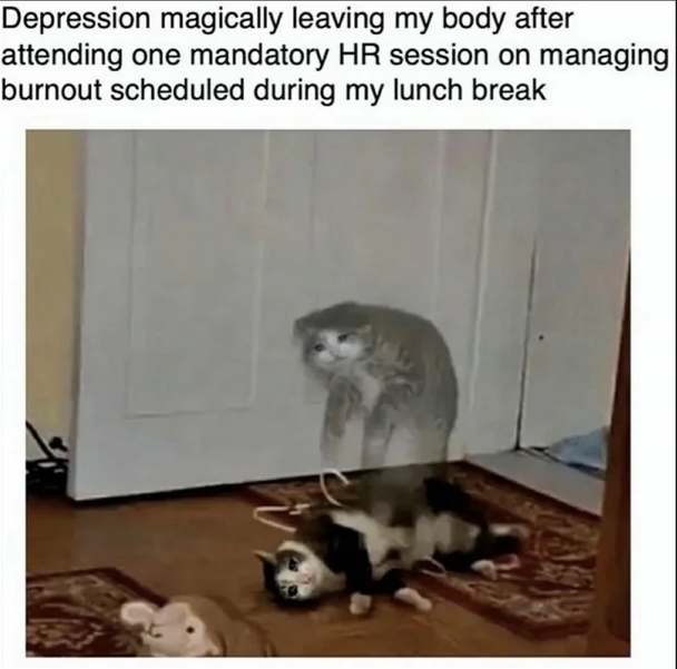 B.Roll.Benny (@brollbenny) on Twitter photo 