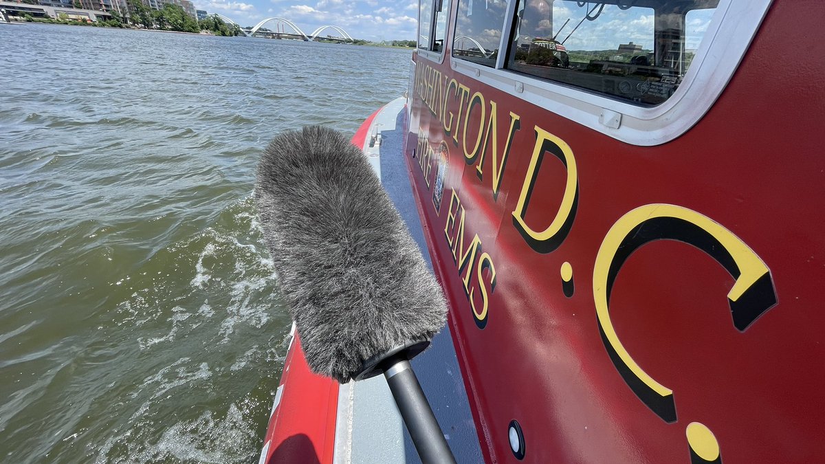 TheRealBigFuzzy tweet media