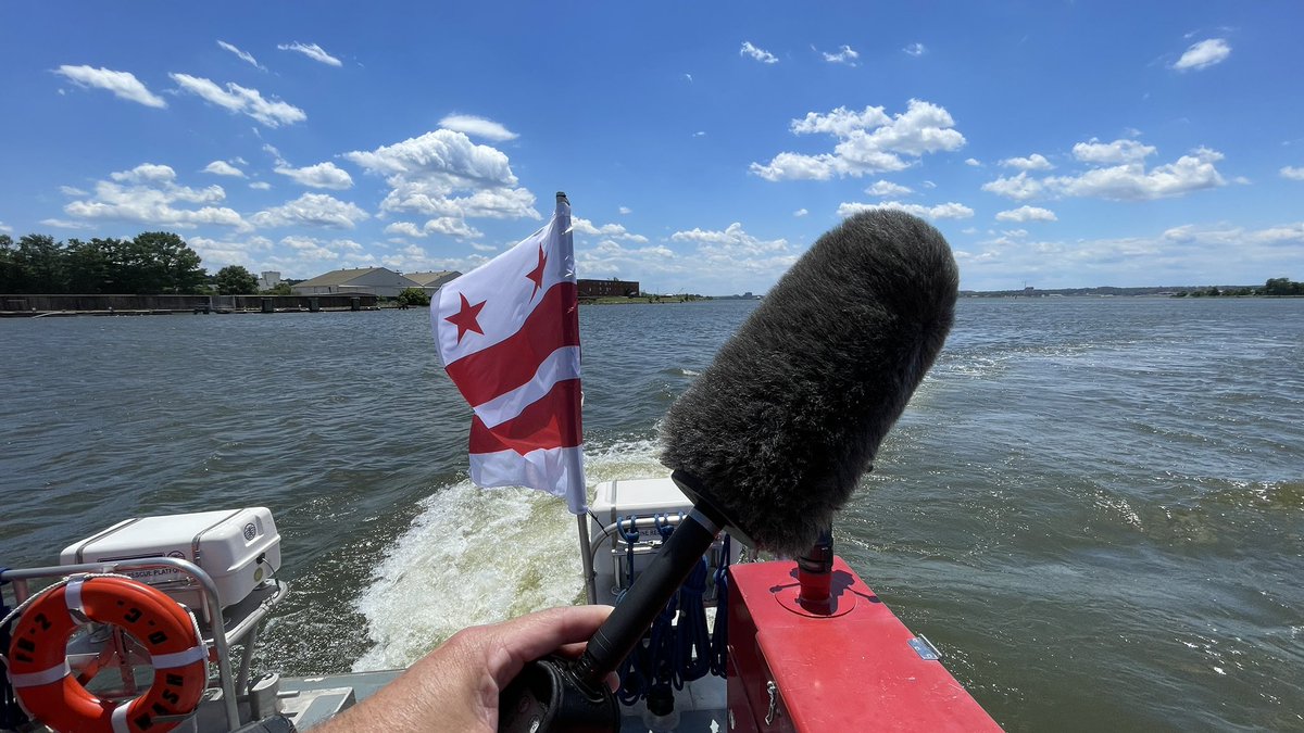 TheRealBigFuzzy tweet media