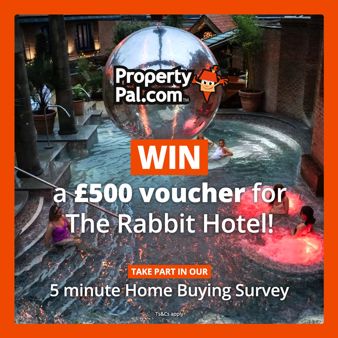 PropertyPal tweet media