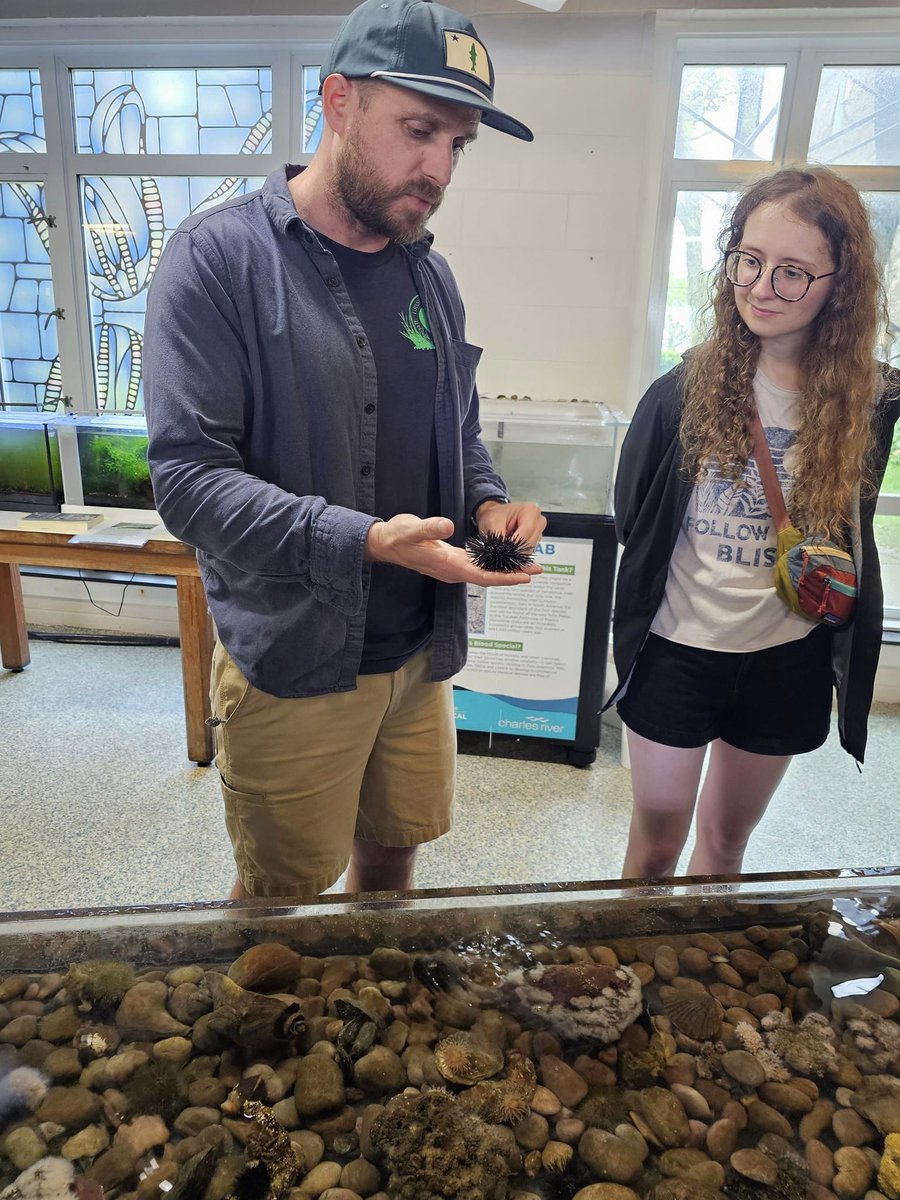 Keystone College tweet media