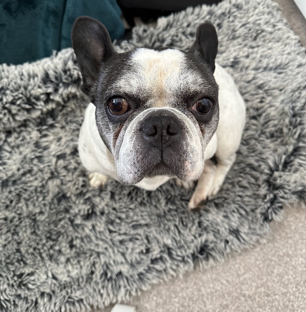 Sarah Dugdale tweet media