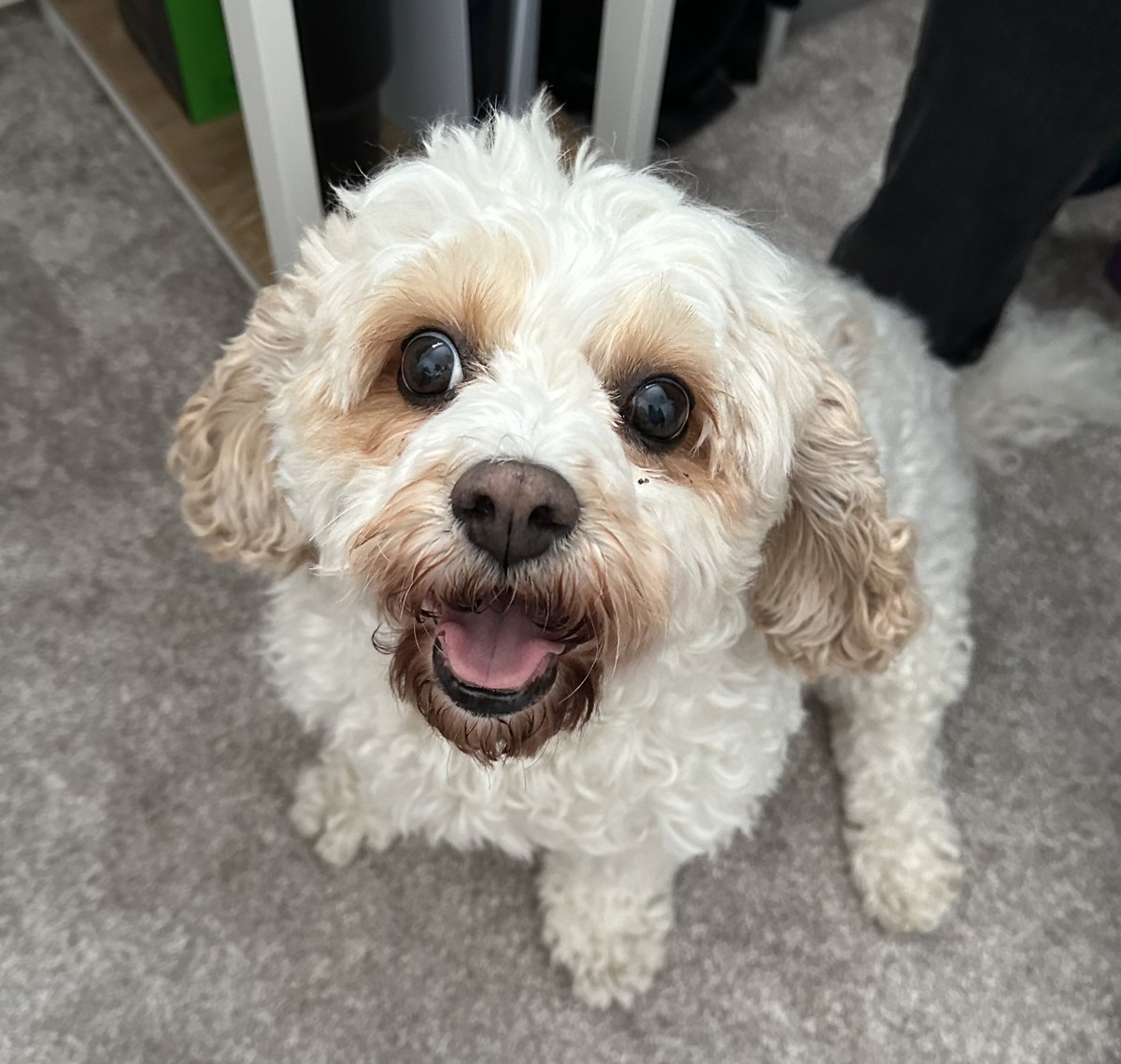 Sarah Dugdale tweet media