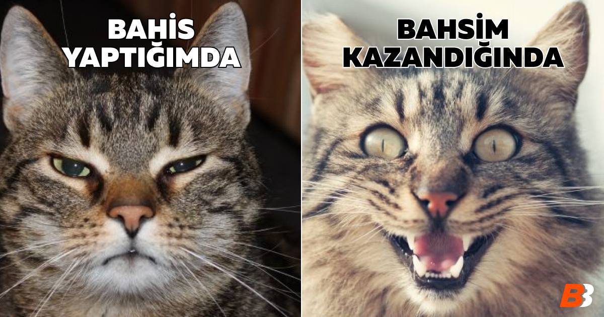 BahisPatronu's tweet photo. Kazanmak her zaman güzeldir

Sadece aşağıdaki 4 adımı tamamlaman yeterli

BizBet'e kaydol
FORUMBAHİS1X promosyon kodunu kullan
Kişisel bilgilerini doldur
3.900₺'ye kadar özel hoş geldin bonusunu almak için para yatır!

ARAMIZA KATILMAK İÇİN BURAYA TIKLA
https://t.co/8Fnjl49gO8 https://t.co/HW2X8zCSHS