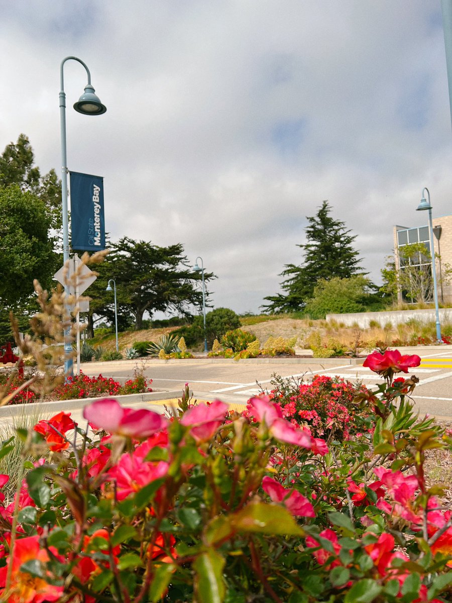 CSUMB's tweet photo. 🚀 #CSUMBSummer is in full swing, and we’re just over a week away from kicking off our summer orientation sessions!

We can’t wait to see our #CampusViews come alive with the enthusiasm of new #Otters. Share with us what you’re most excited about for orientation! 💬📚🌟 https://t.co/t6FRcDMlBc