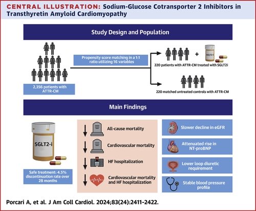 📌#SGLT2 Inhibitor Therapy in 👥 With Transthyretin Amyloid Cardiomyopathy

#Amyloidosis #SGLT2i