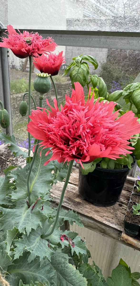 StevePhillips85's tweet image. Happy Monday all 😊