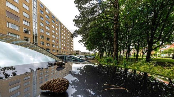 Gemeentebosje zadelt flat aan Leidse Schubertlaan op met vogelpoep, autoschade en verstopt riool leidschdagblad.nl/cnt/dmf2024061…