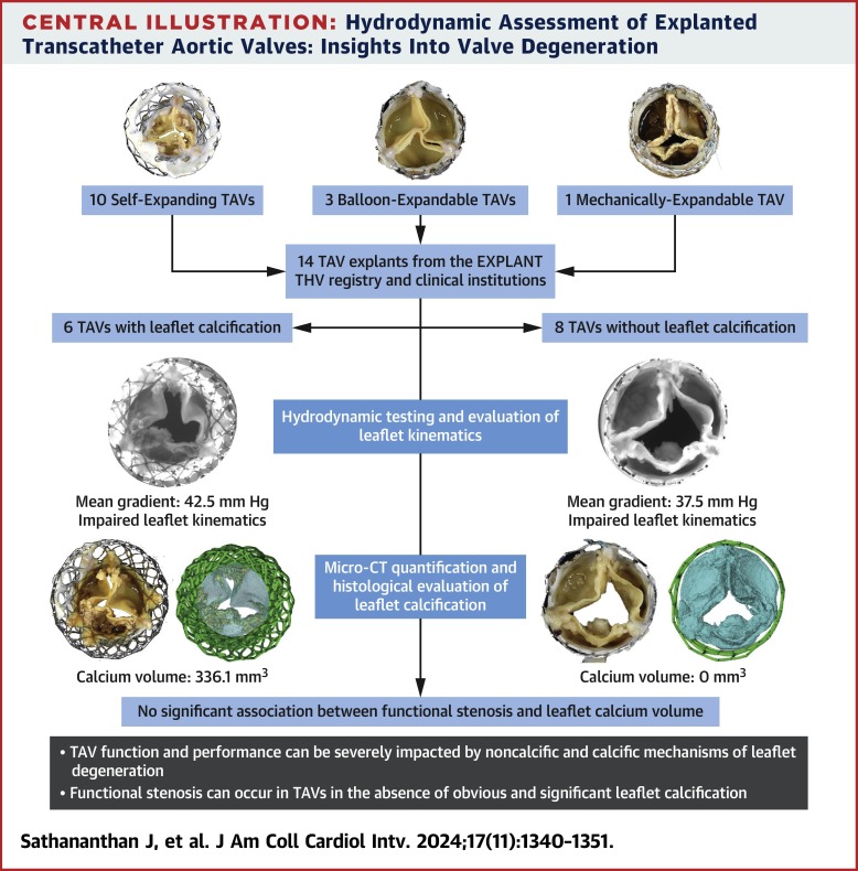 Stephanie Sellers (@sellers_steph) on Twitter photo New from the CV Translational Lab in <a href="/JACCJournals/">JACC Journals</a> - Exploring hydrodynamics of calcific and non-calcific explanted transcatheter heart valves
jacc.org/doi/10.1016/j.… New from the CV Translational Lab in <a href="/JACCJournals/">JACC Journals</a> - Exploring hydrodynamics of calcific and non-calcific explanted transcatheter heart valves
jacc.org/doi/10.1016/j.…