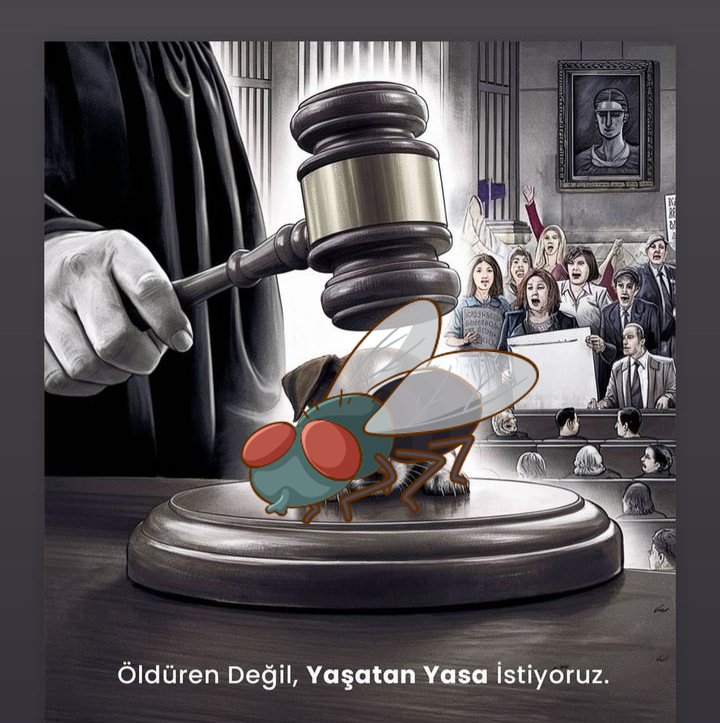 #Hayvanlaradokunmayın 
#5199
#SokakBöcekleriSahipsizDeğil