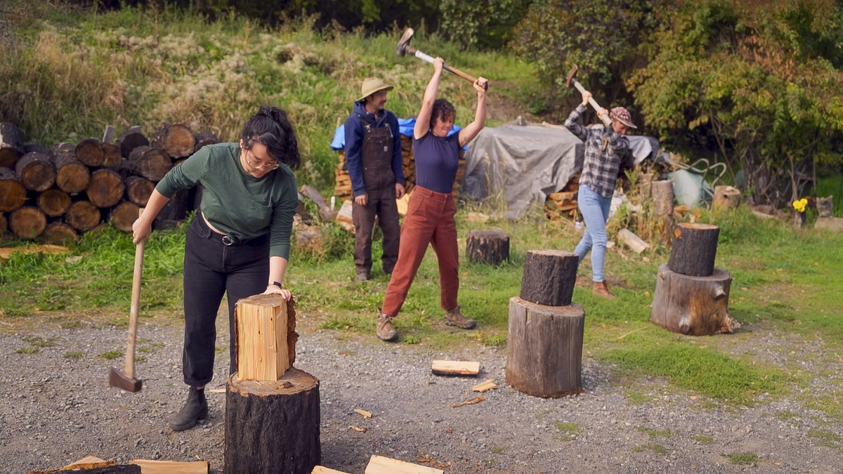 The Lede tweet media