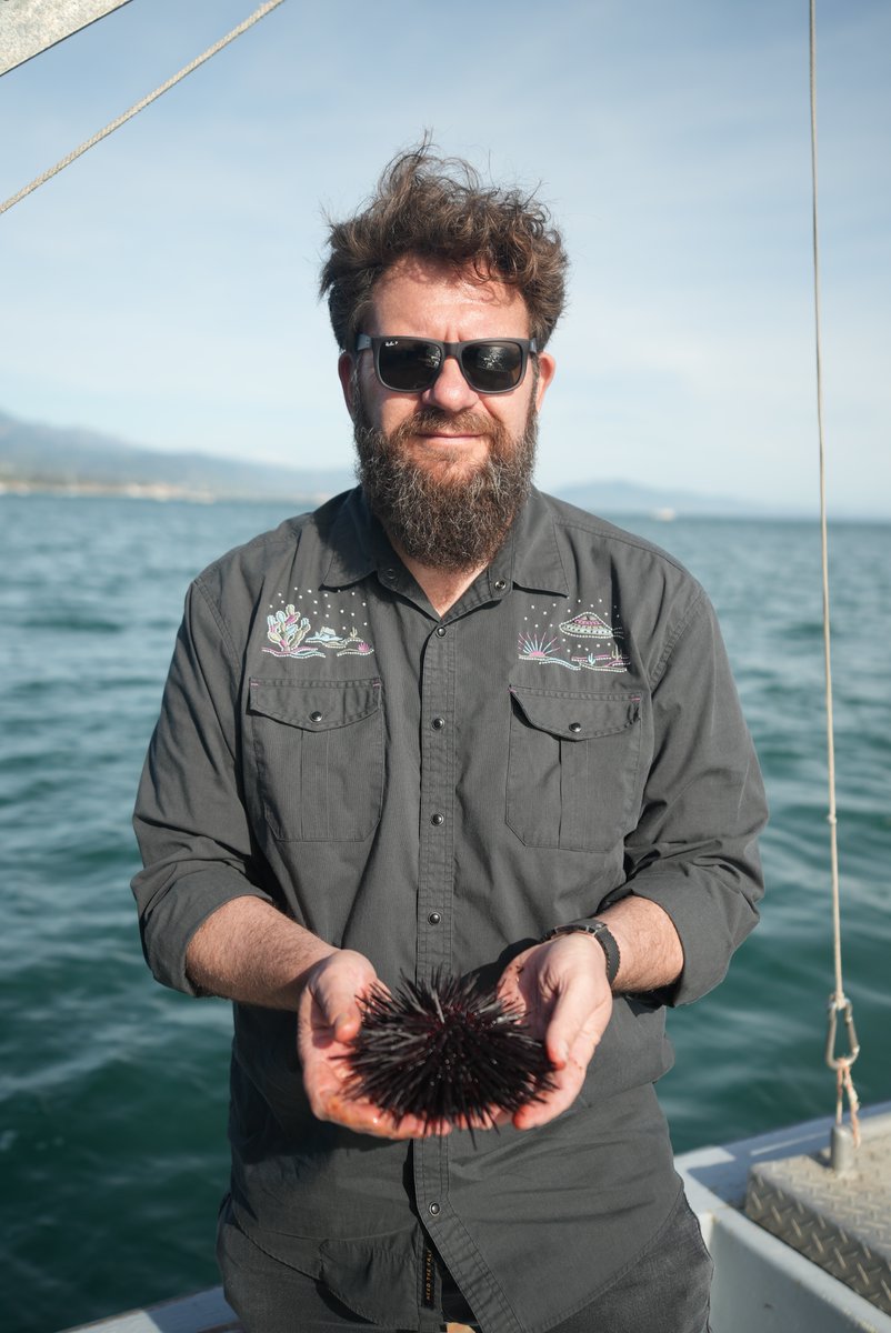 Modern Currency PR (@mcprlosangeles) on Twitter photo against the consumption of overexploited marine species. Chef Michael Cimarusti collaborated closely with Stephanie Mutz, to source responsibly-caught sea urchin to replace eel on their nightly tasting menu, a commitment reinforced by <a href="/providence_LA/">Providence</a>'s partnership with Ethic Ocean against the consumption of overexploited marine species. Chef Michael Cimarusti collaborated closely with Stephanie Mutz, to source responsibly-caught sea urchin to replace eel on their nightly tasting menu, a commitment reinforced by <a href="/providence_LA/">Providence</a>'s partnership with Ethic Ocean
