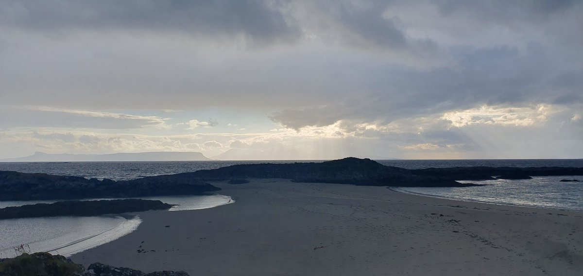 Suzie Fisher tweet media