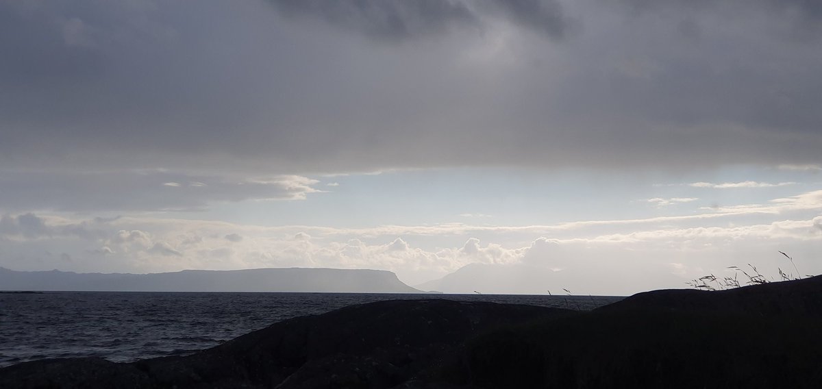 Suzie Fisher tweet media