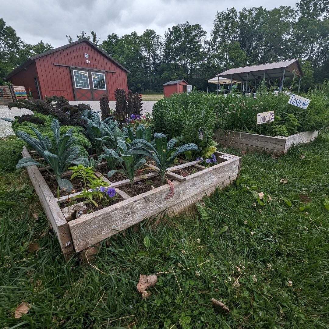 MCCOY (Marion County Commission on Youth) tweet media