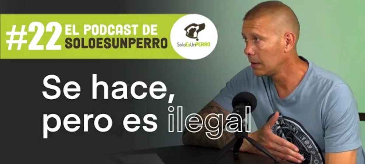 Profesionales VS LEY PPP tweet media
