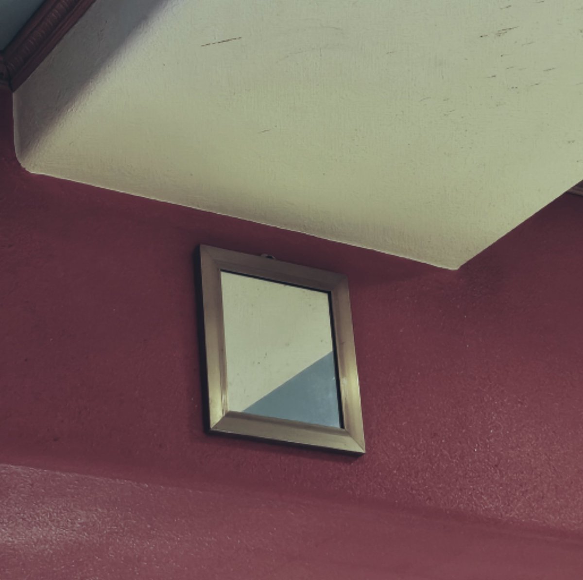 ₍ᐢᐢ₎ tweet media