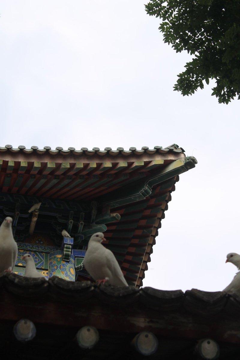 ctylbw's tweet photo. “喂，韩冬你在哪呢？我们都到了。”
“​先拜拜佛，净化一下心灵。”
                                   ——《没完没了》 https://t.co/Q2YV3xImxV