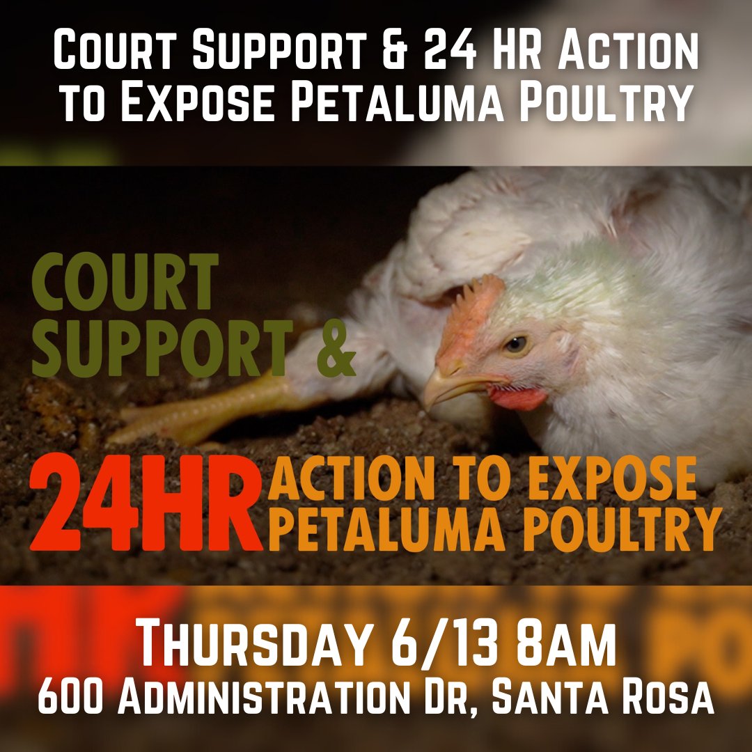 This Thursday is <a href="/Zoe_Rooster/">Zoe Rosenberg</a>'s birthday! The District Attorney's gift to her is an additional felony charge. What she would like for her birthday is for you to come support her in court.
Meet us at 8am at 600 Administration Dr, Santa Rosa!