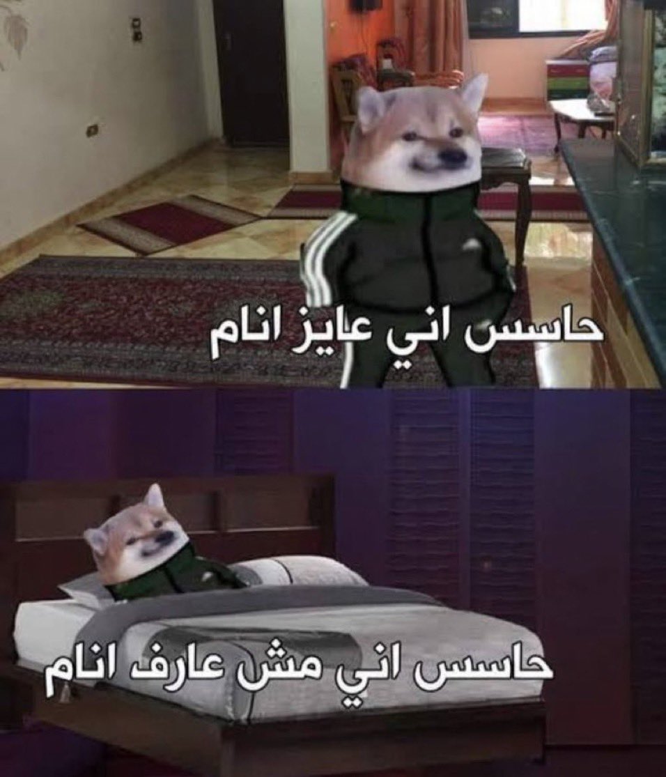 world_erorr's tweet photo. كل يوم: https://t.co/Pb2GYJ11Nh