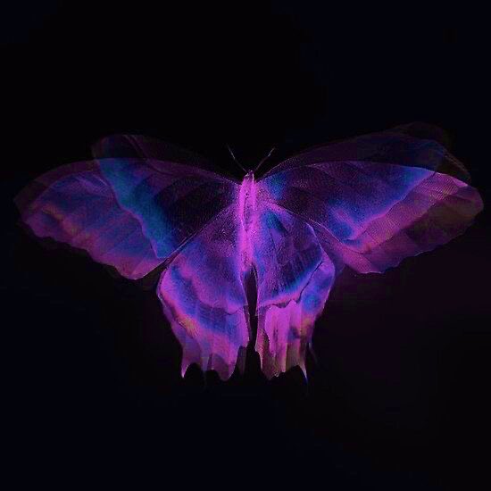 — Если в полдень тебя накроет тёмная тень, запирай засовы - это не ранний приход ночи, а рой голодных насекомых. Здравствуй, я Эон Распространения Тайззиронт.