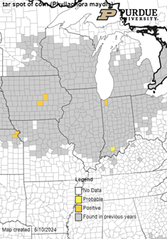 Darcy Telenko tweet media