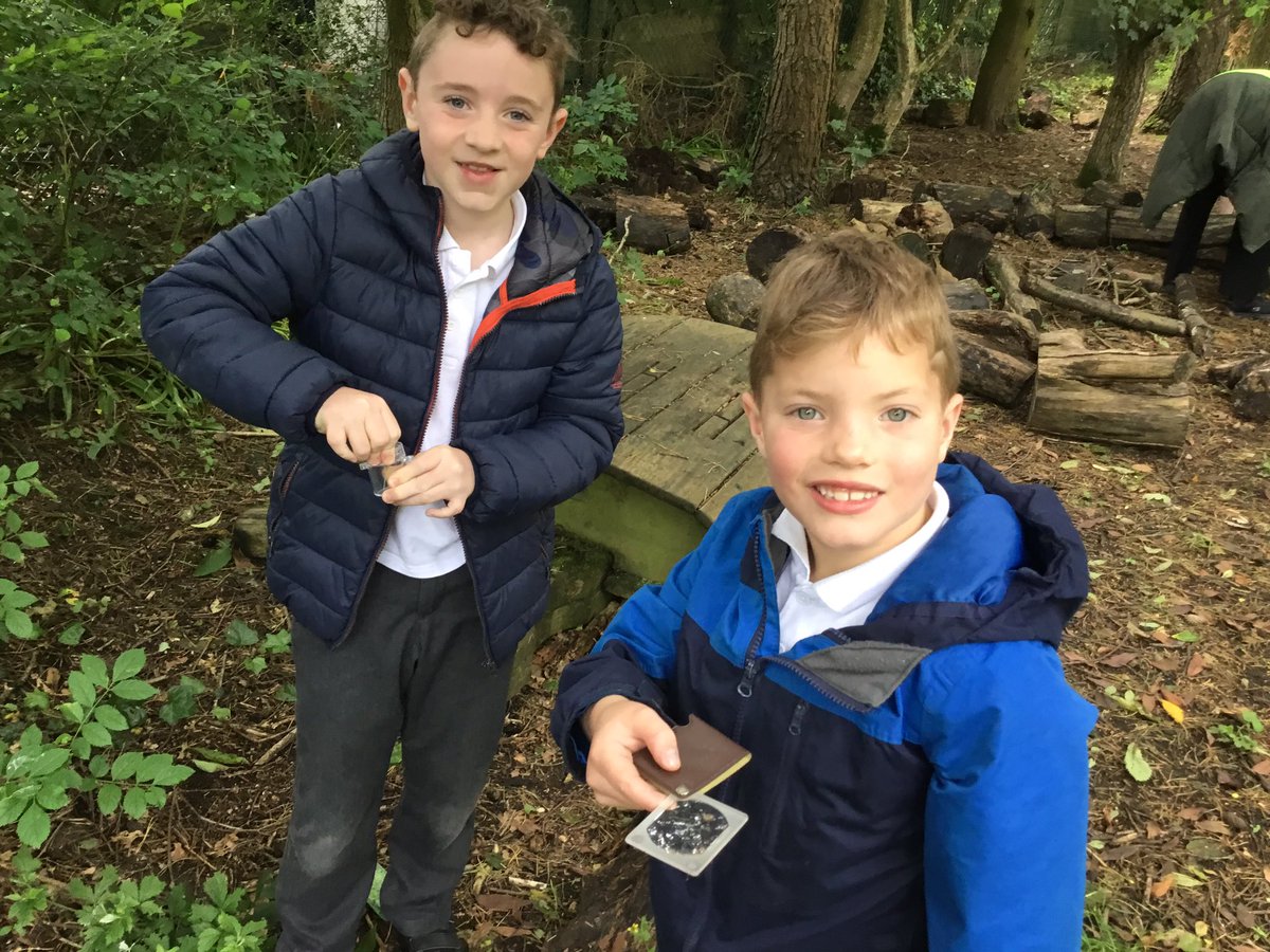 MoorlandsHudds's tweet image. 2S found woodlice to help answer our science enquiry, what conditions do wood lice prefer? Children predicted using knowledge of where they found them before observing whether they preferred light or dark in a container. No woodlice were harmed 😅. #mpsy2 #mpsscience 🪵🐌🐜🪱🧑‍🔬🕵️