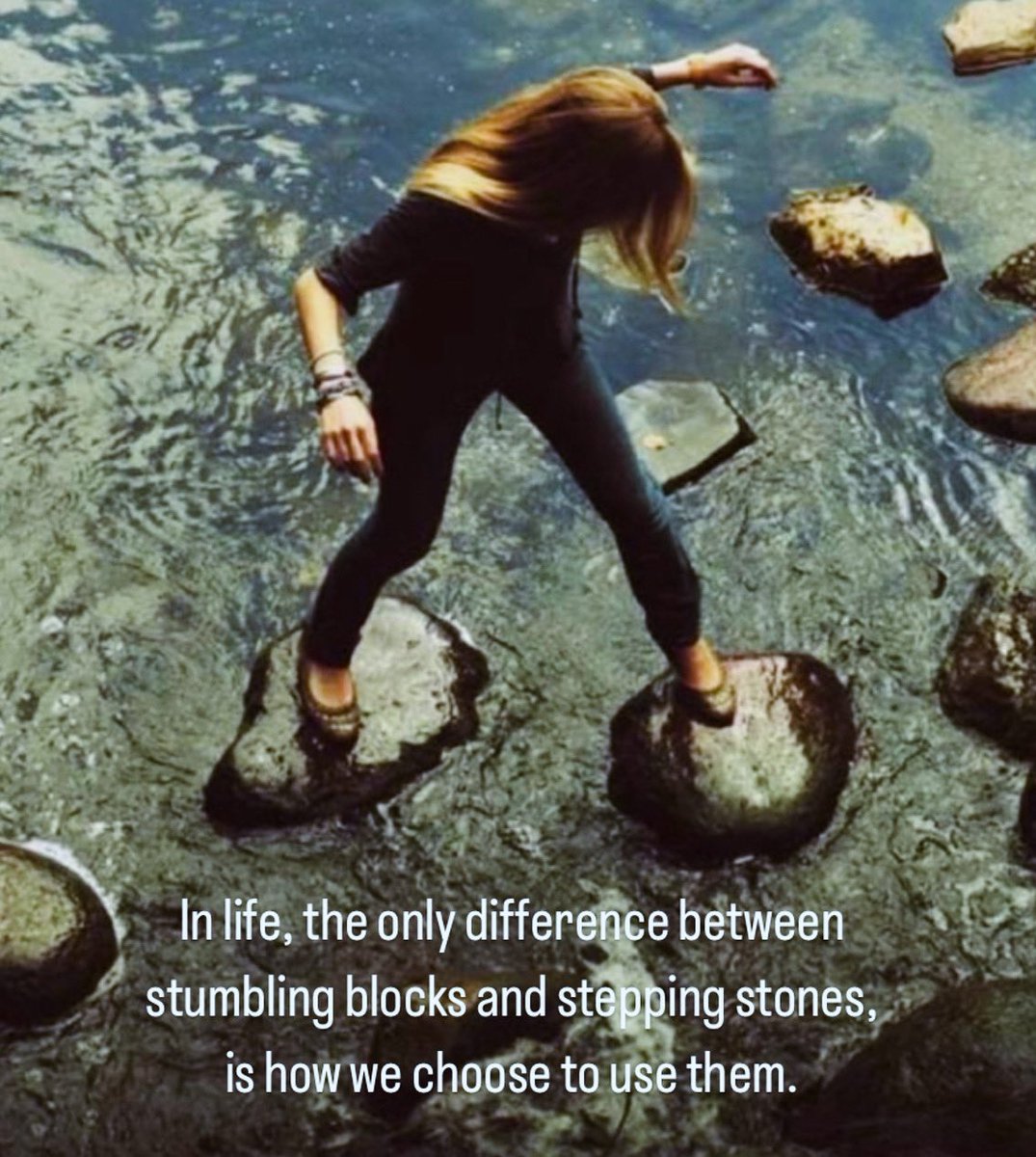 WildWithWheels tweet media