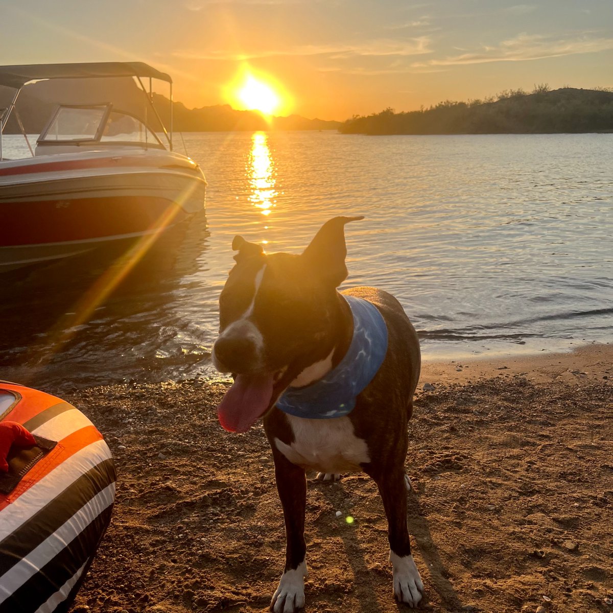 peerflips's tweet image. Back from camping with my bestie 🐶!

Excited to start validating my favorite @pacmoon_ content again!

What did the rest of the $PAC fam get into this weekend?