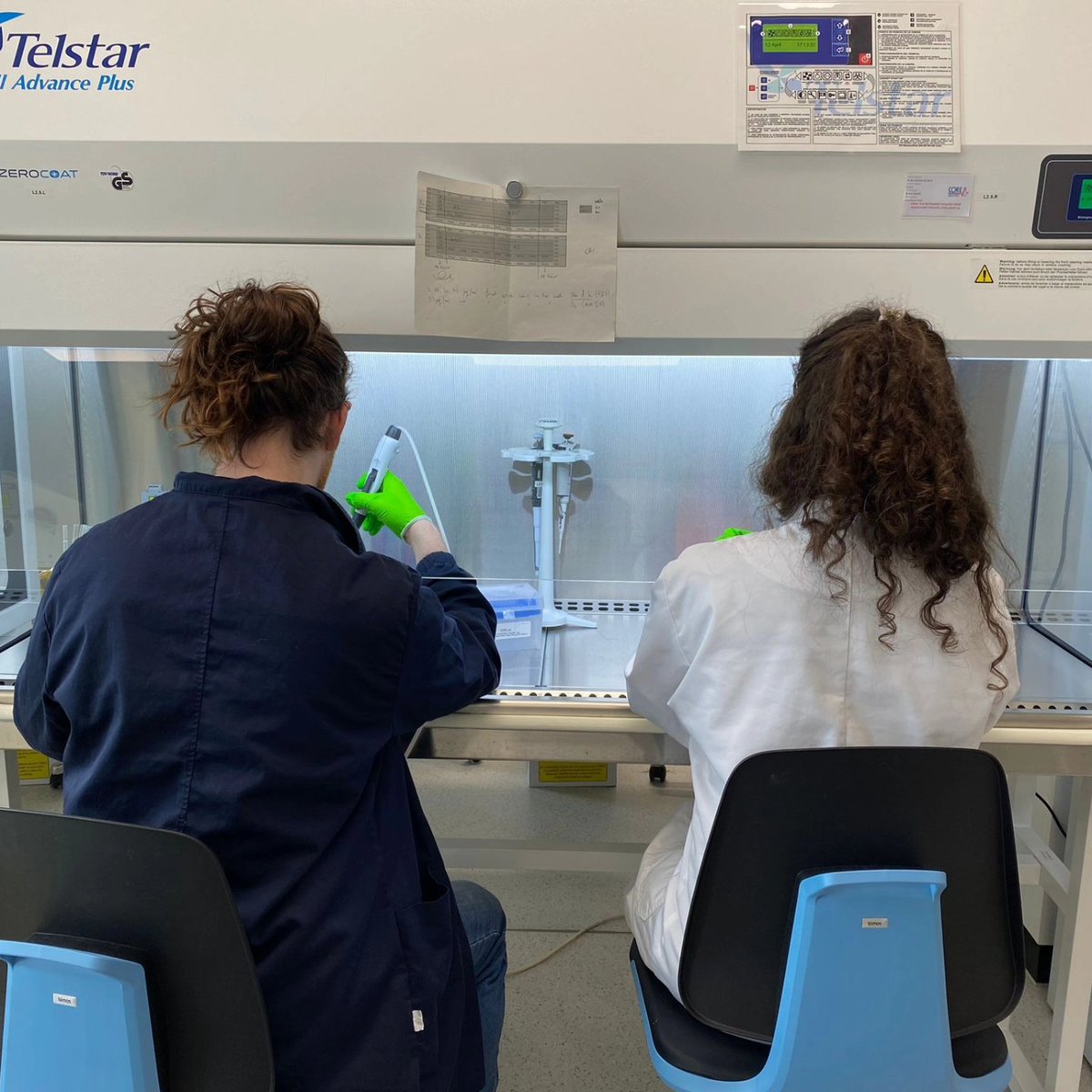 _Alessandra_G's tweet photo. 🇧🇪 Thanks to @Co_Biologists for funding this collaboration between @LTubularCentre and @ugent @PhotoBioLab @FunGenLab using nanoparticle biosensors to characterise tubule cell function 🔬 Special thanks to my co-conspirator @MichaelBVaughan, neither of us murdered each other 😜⚔️ https://t.co/OzMVBhM7yM