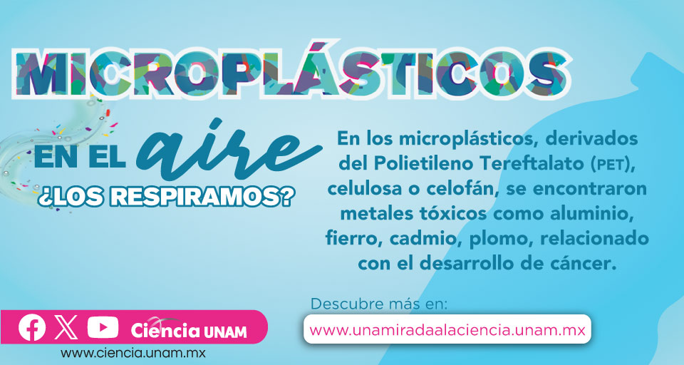 Los #microplásticos son resultado de la descomposición del plástico en pequeñas partículas de un tamaño menor a 5 milímetros hasta 1 micrómetro. No se pueden ver a simple vista.
👀👉 bit.ly/455Mb9x
👀👉 bit.ly/49YKDin