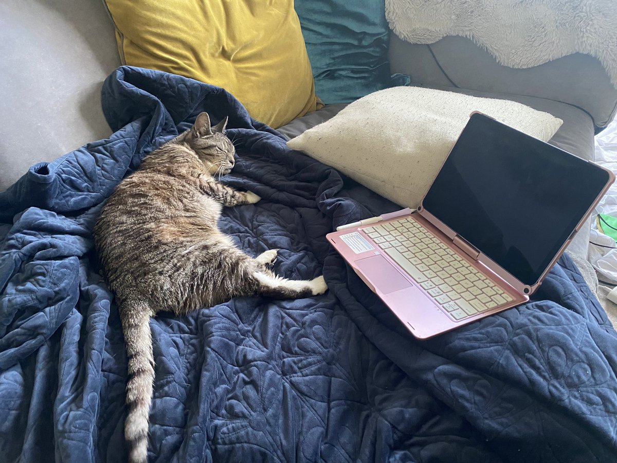 LiToast's tweet image. #IndieDevWorkspaceChallenge 

For Roman Sands Re:Build my “workspace” changed day to day because I experience a lot of exhaustion and pain from PoTS and EDS, based on whether I had to actively make something (my office) or if I was directing the environments (being horizontal)